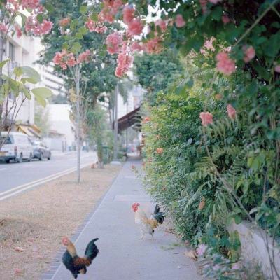 皇冠体育手机版软件